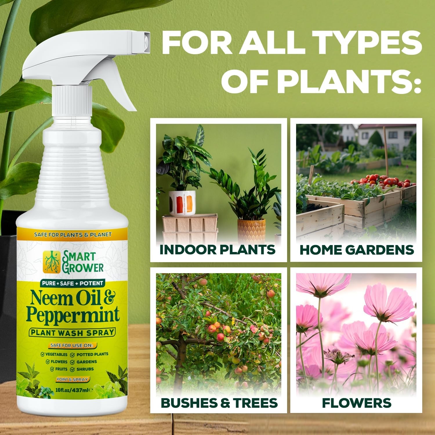 Neem Oil Spray for Plants with Peppermint Oil, Natural Plant Wash Made for In…