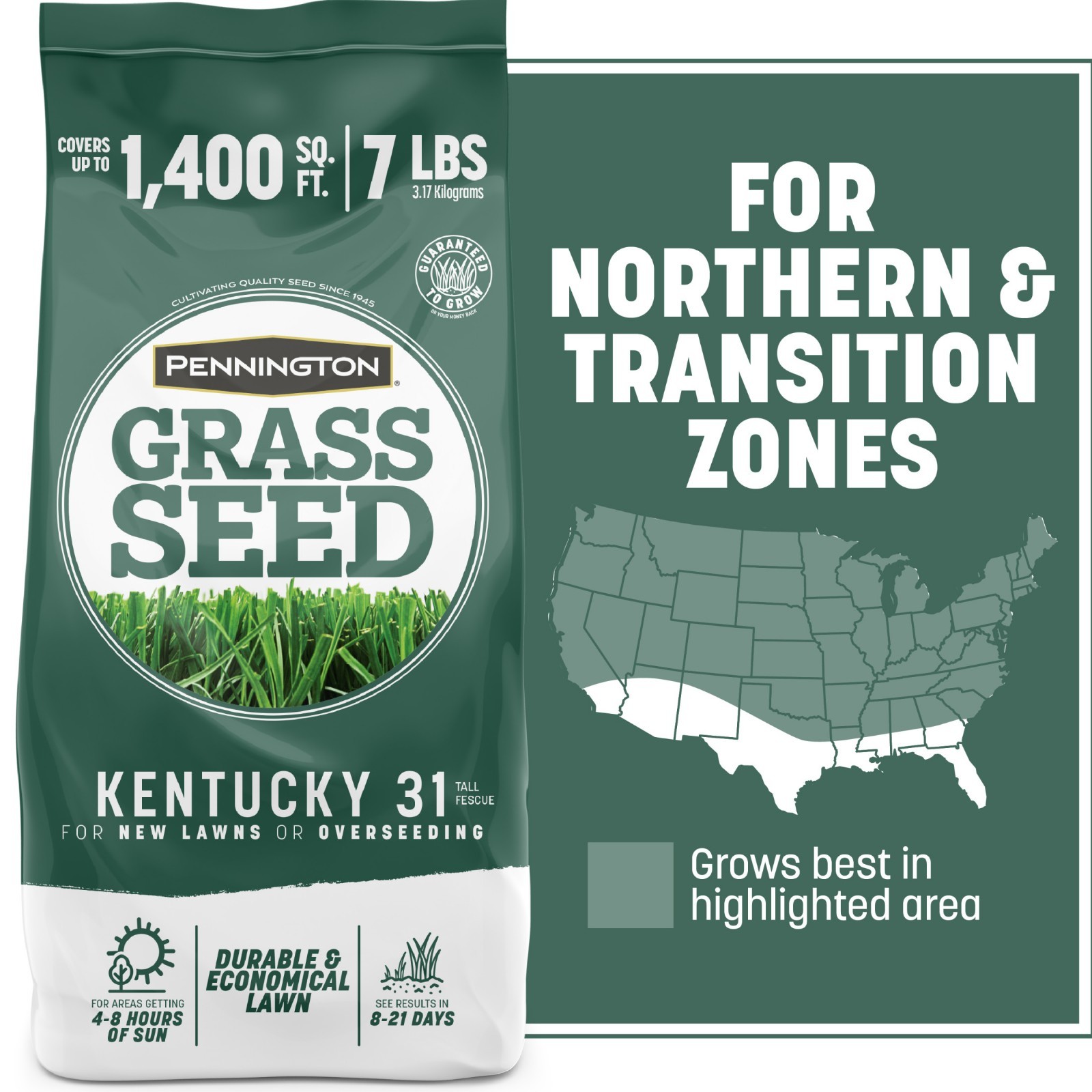 Pennington Kentucky 31 Tall Fescue Grass Seed Sun to Partial Shade 7- 20 lb Bag