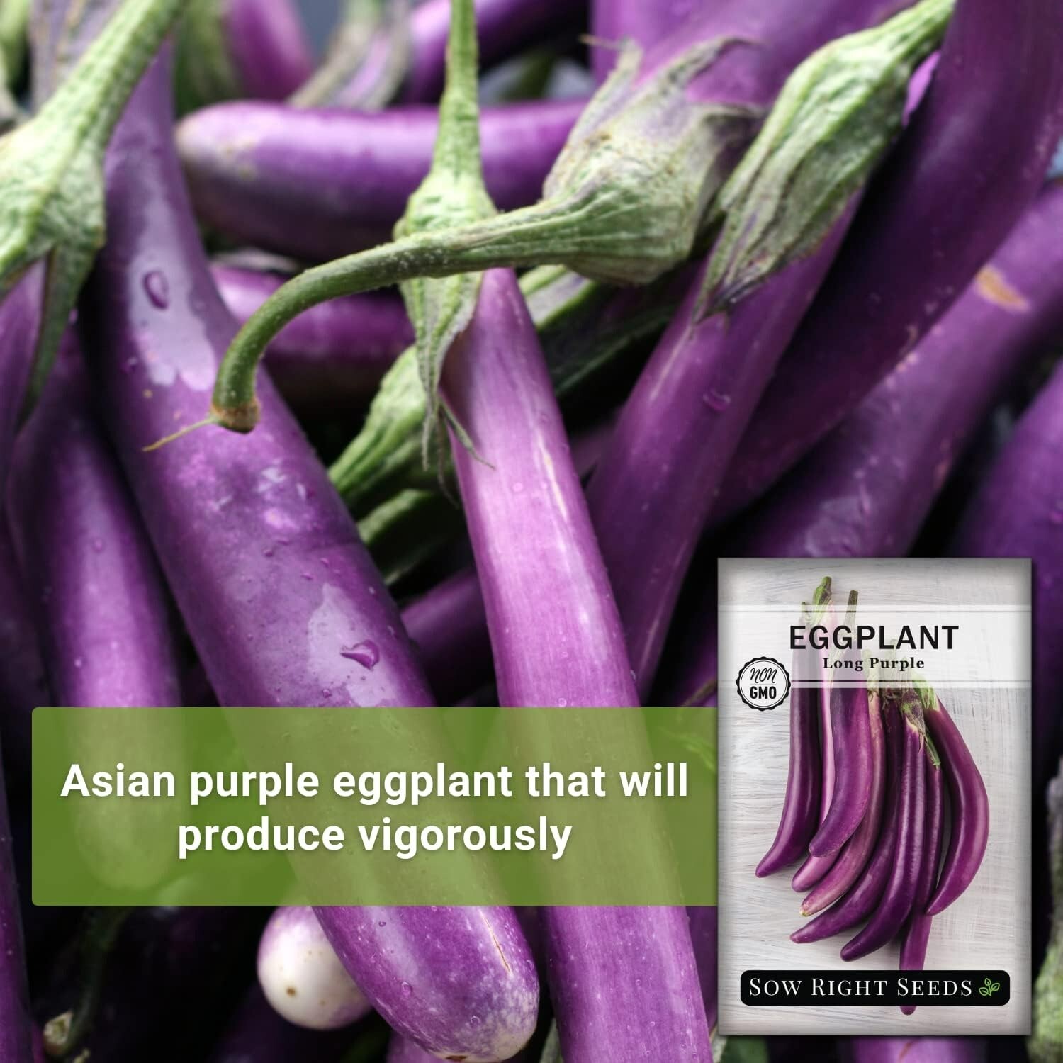 Long Purple Eggplant Seeds Non-GMO Heirloom 400mg Outdoor Vegetable Garden