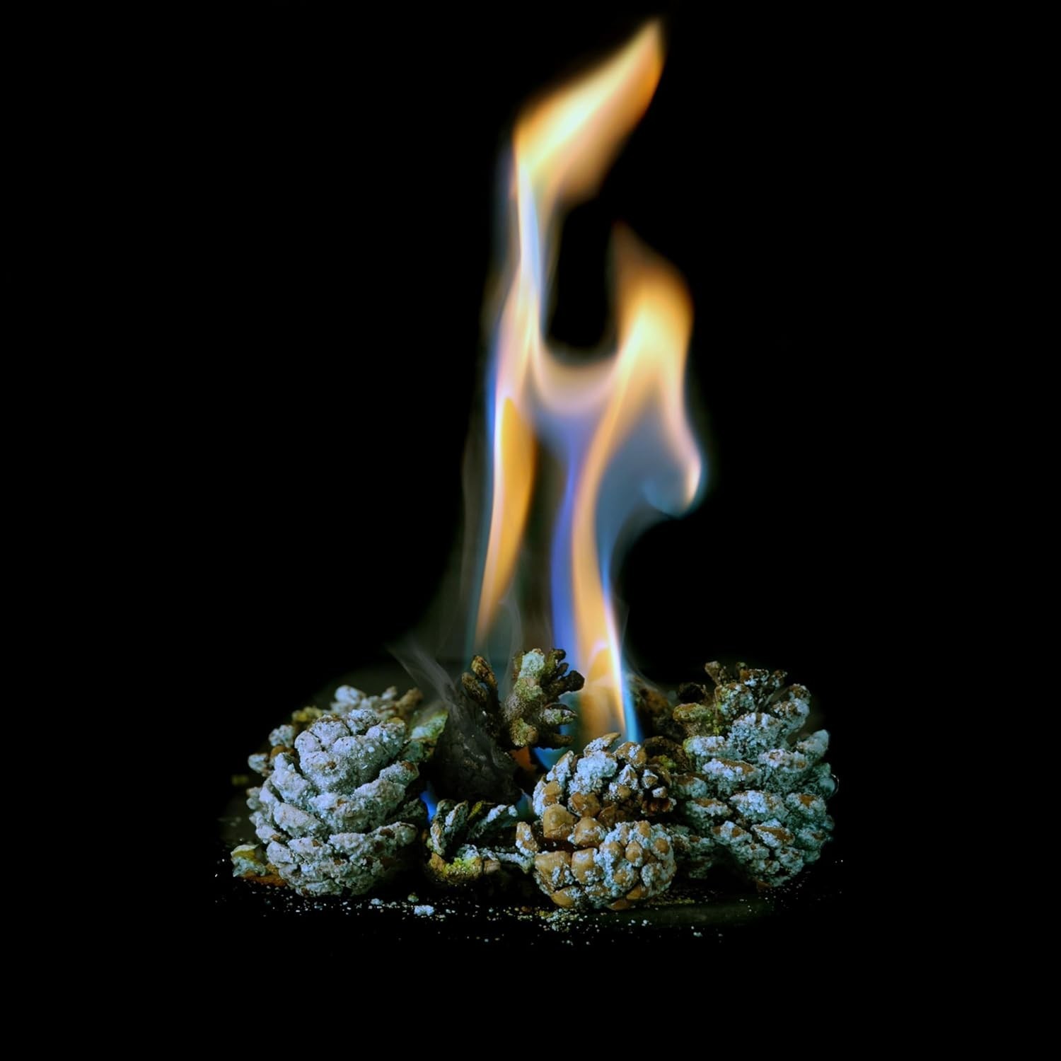 ColorGlo Flames 1 lb – Blue Green Purple Fire Pit Pine Cones