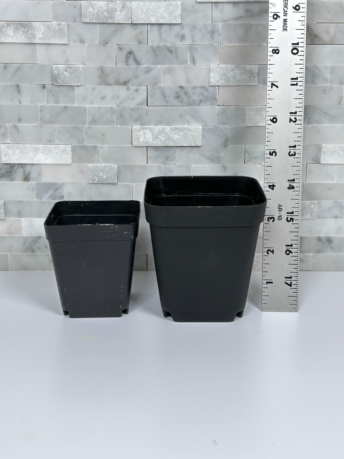 House Plants – Starter Plants – Rooted – 30-45 days old, 3″ to 8″ tall
