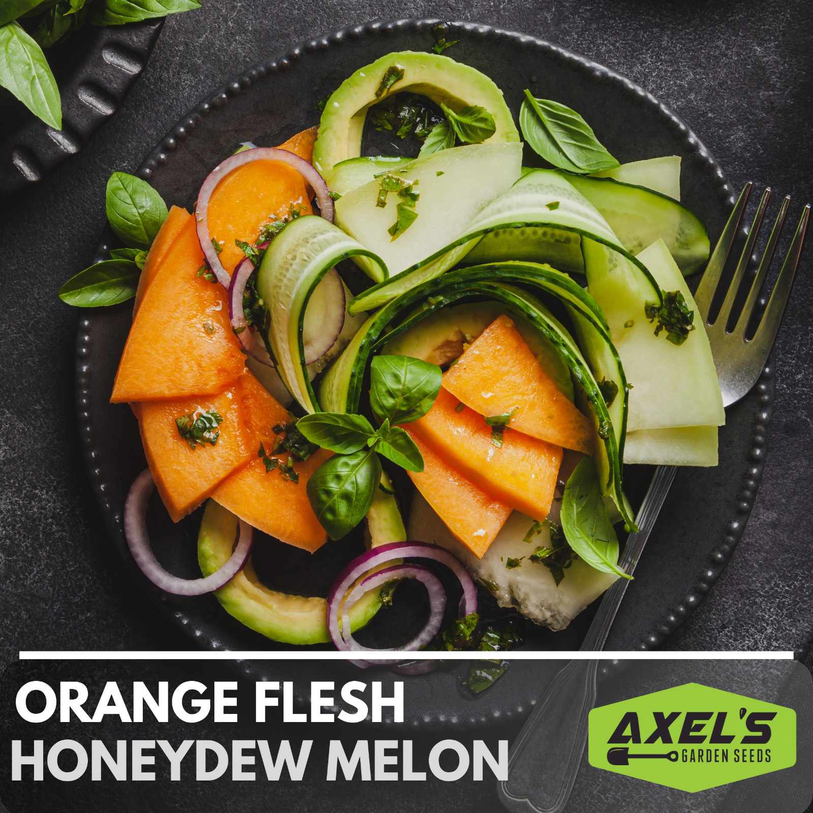 Orange Flesh Honeydew Melon Heirloom Non-GMO Seeds