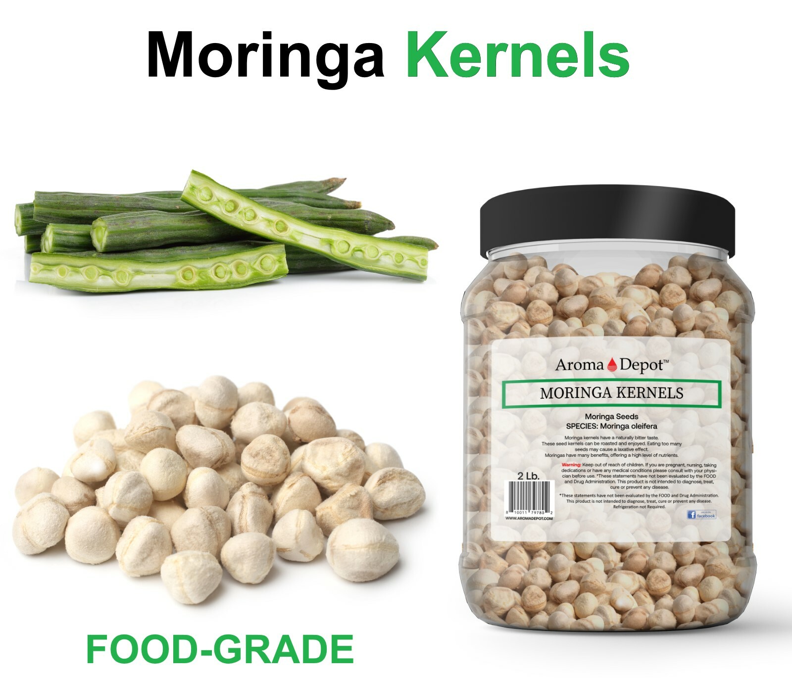 Moringa KERNEL Wholesale Granos de Semillas de Moringa oleifera Malunggay Seeds