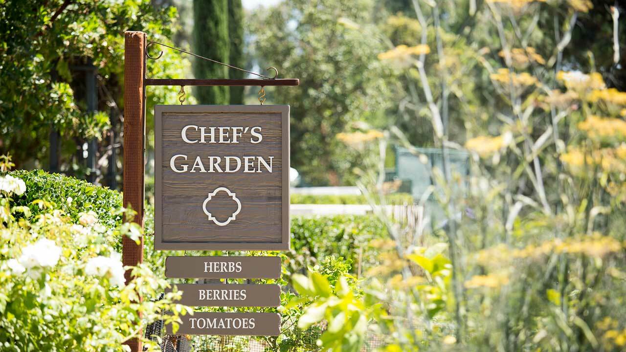 #4 Heirloom Vegetable 150+ seeds 6 Variety Garden Set Emergency Survival NON-GMO