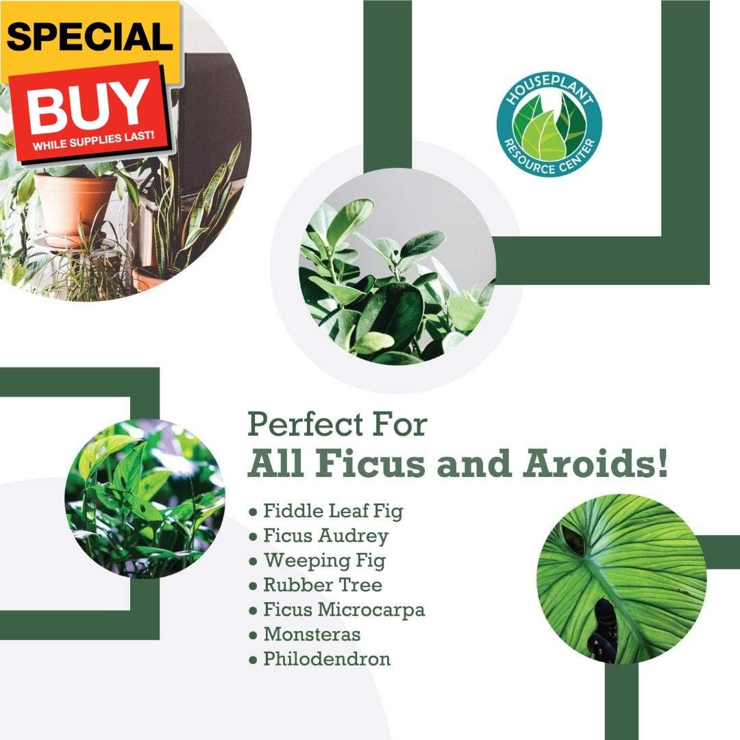 Fiddle Leaf Fig Potting Soil Mix by Fiddle Leaf Fig Plant Resource | Premium Org