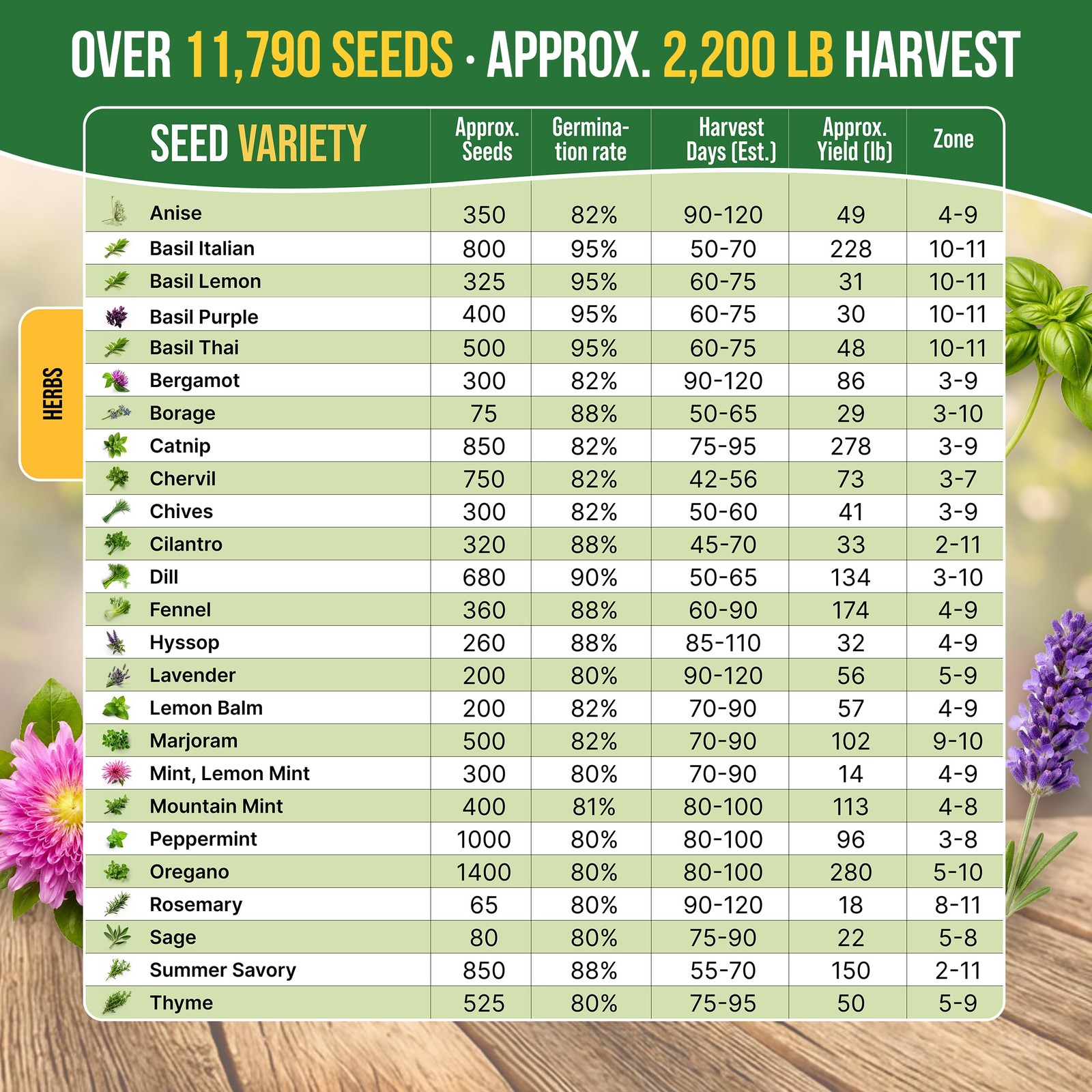 25 Most Popular Herb Seeds Variety Pack – 11,700 Non-GMO 25 Seeds, Green