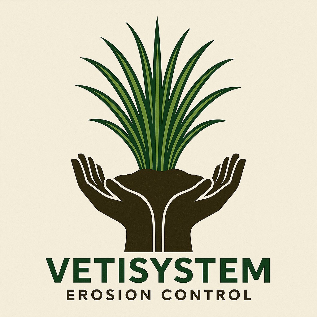 Vetiver live plant for EROSION CONTROL 25 pcs combo