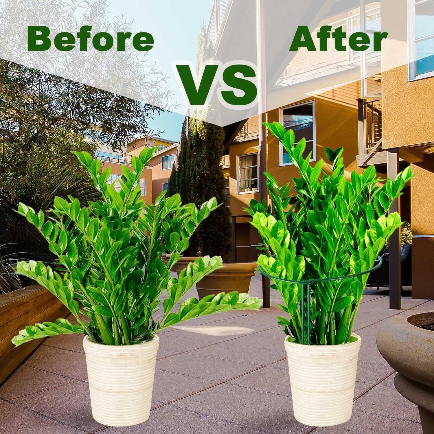 Metal Plant Stakes 12-Pack for Indoor & Outdoor Plants
