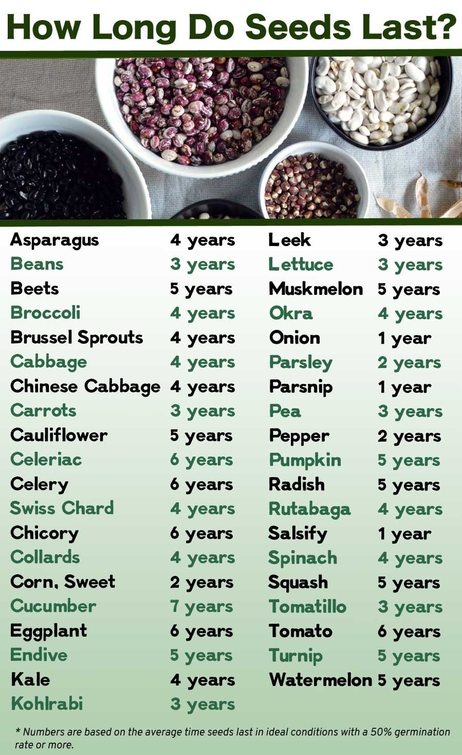 28 JUMBO packs garden seeds bean seeds pea seeds 12/23 retail $140+ heavy