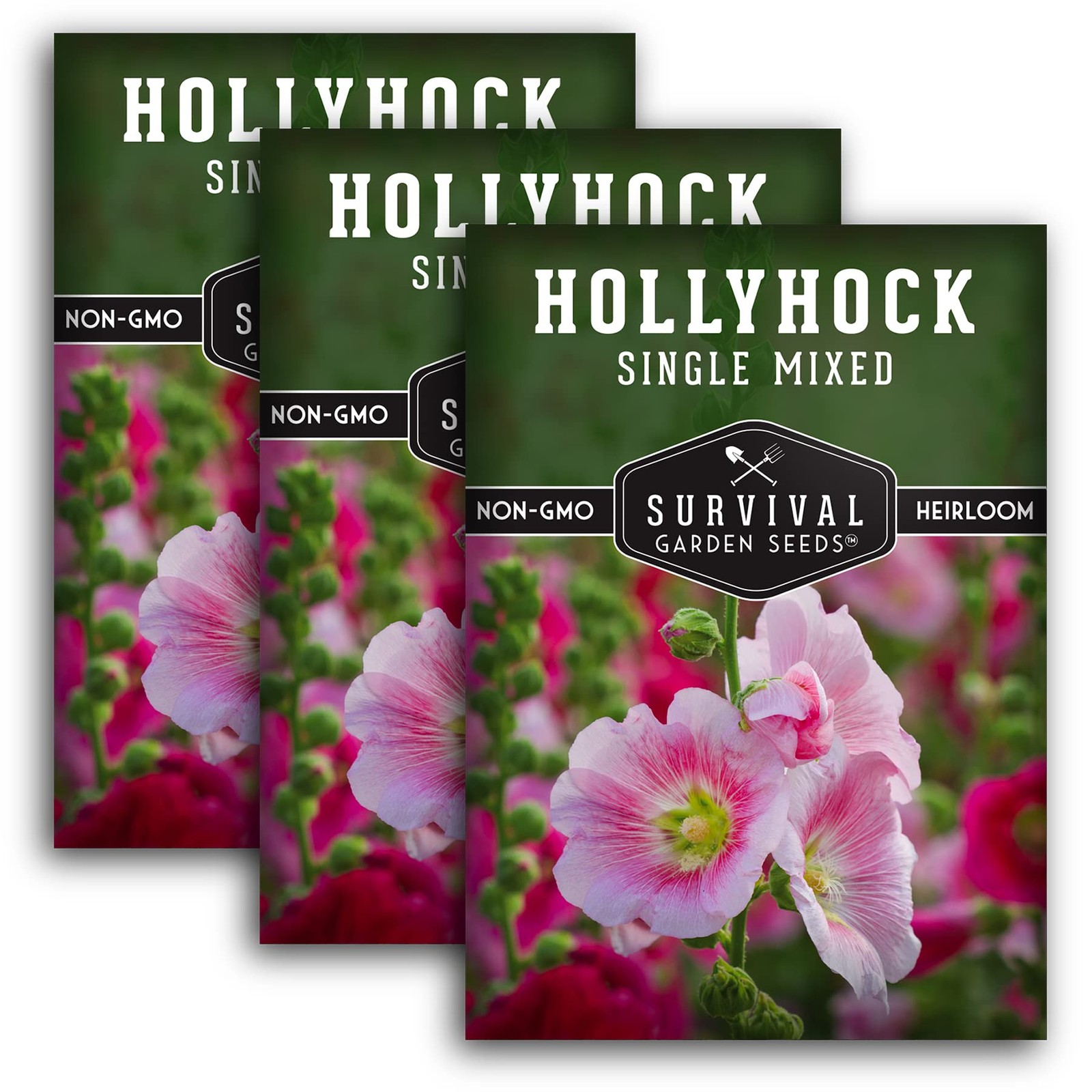 Mixed Hollyhock Seeds Tall Colorful Flower Spikes for Gardens and Hummingbirds