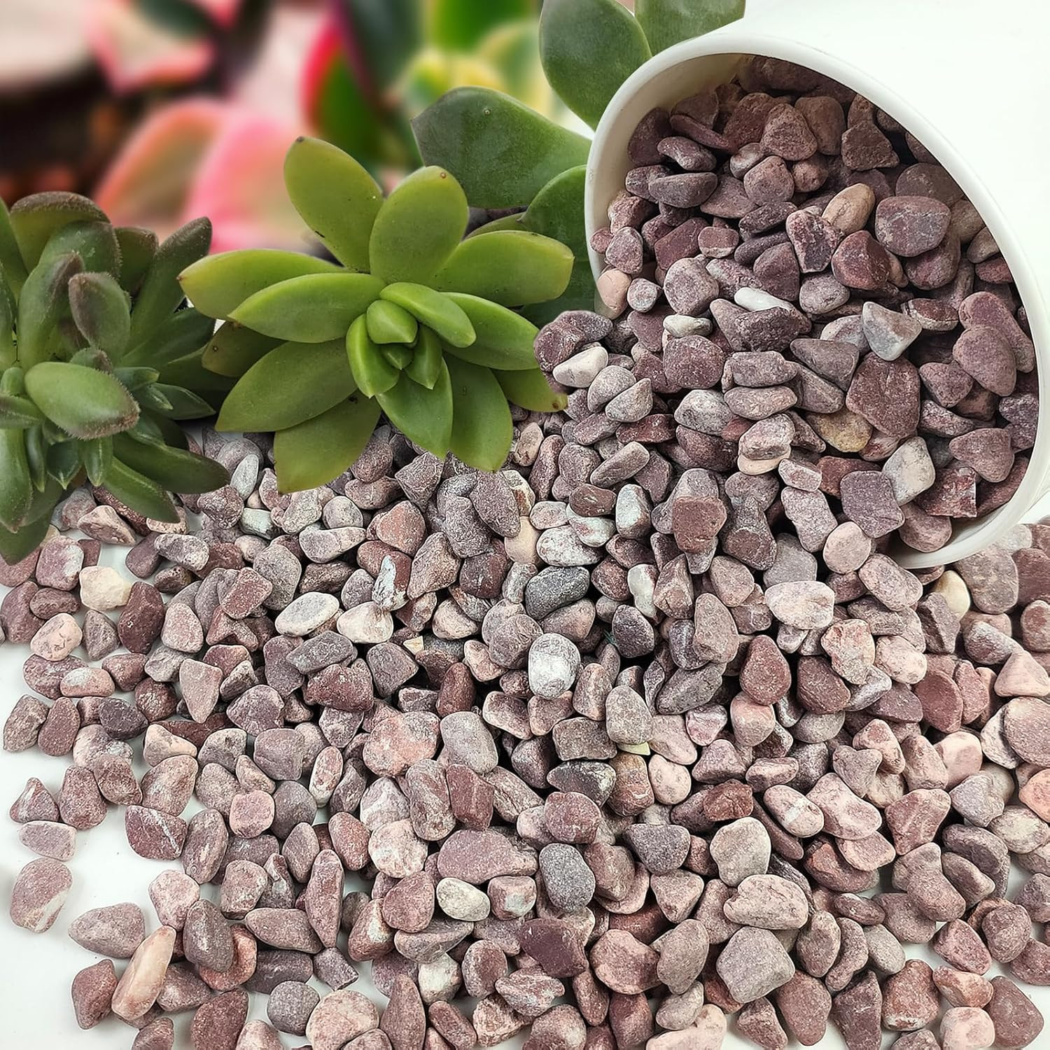 2 Lbs Succulent and Cactus Pebbles Gravel, 3/8 Inch Decorative Red River Rocks f