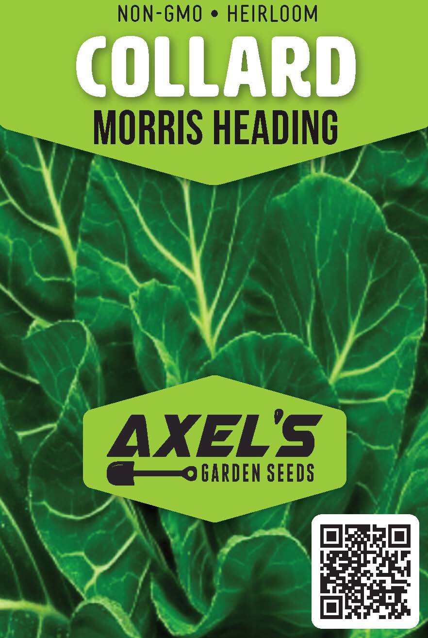 Morris Heading Collard Seeds | Non-GMO | Heirloom | Fresh Garden Seeds