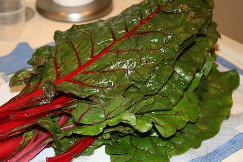 Swiss Chard Seed: Discovery Swiss Chard Fresh Seed FREE Shipping
