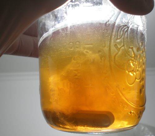 Brown Beech (Hypsizygus tessellatus) Liquid Culture
