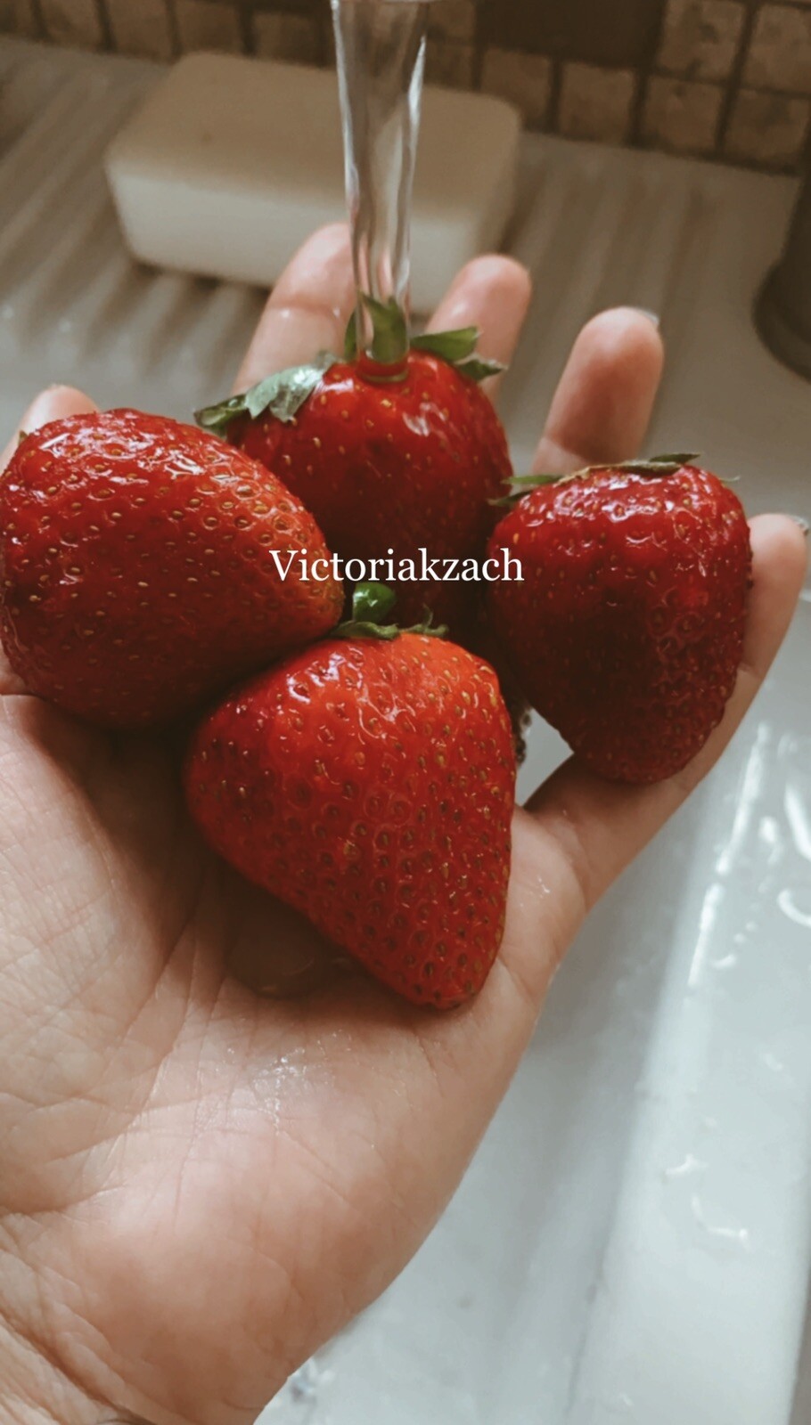 Strawberry Seeds 🍓 Homegrown Edible Garden Fruit Organic Sweet NonGMO Berry USA