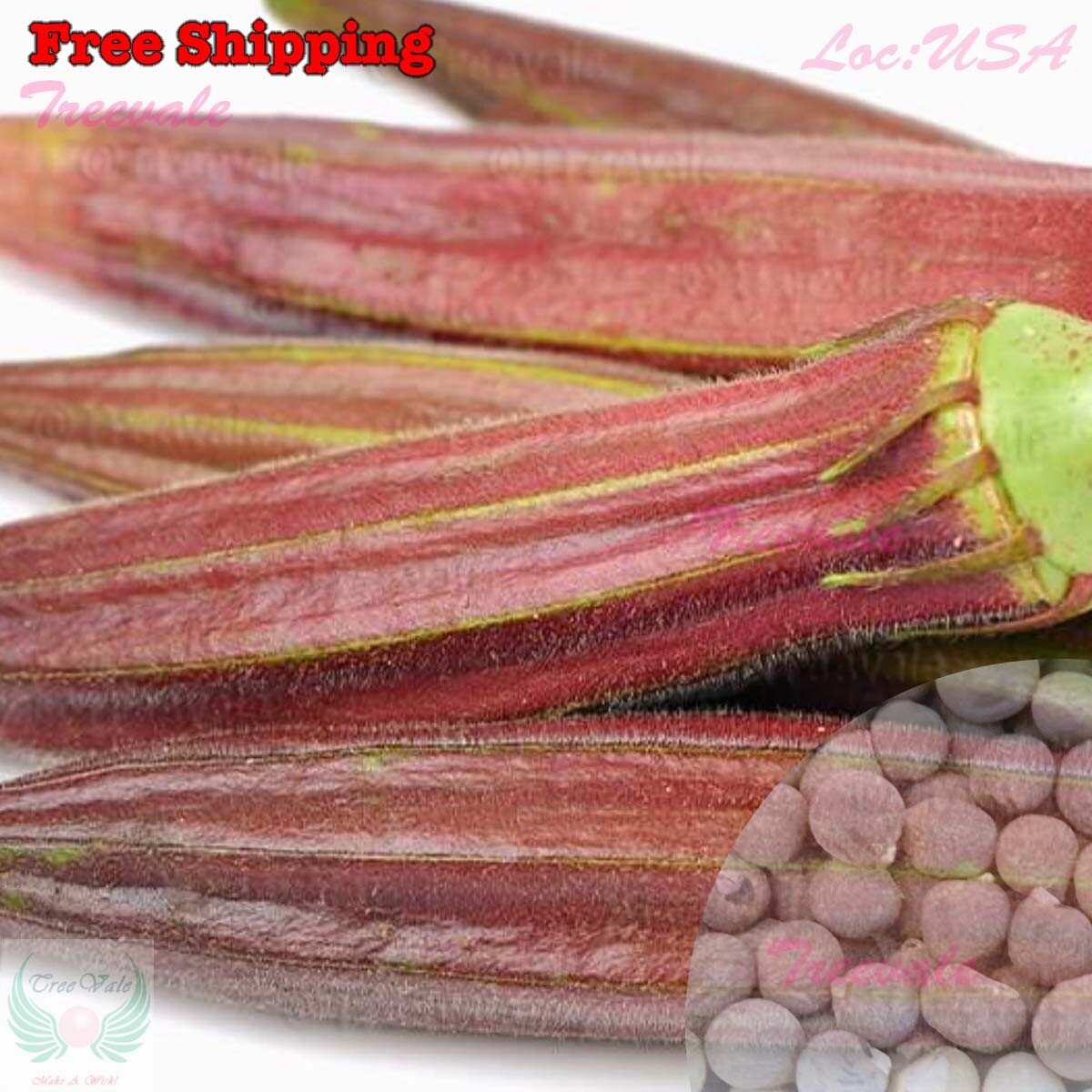 Red Burgundy Okra Seeds | Red Velvet Okra, Royal Burgundy Okra, Okra Seeds