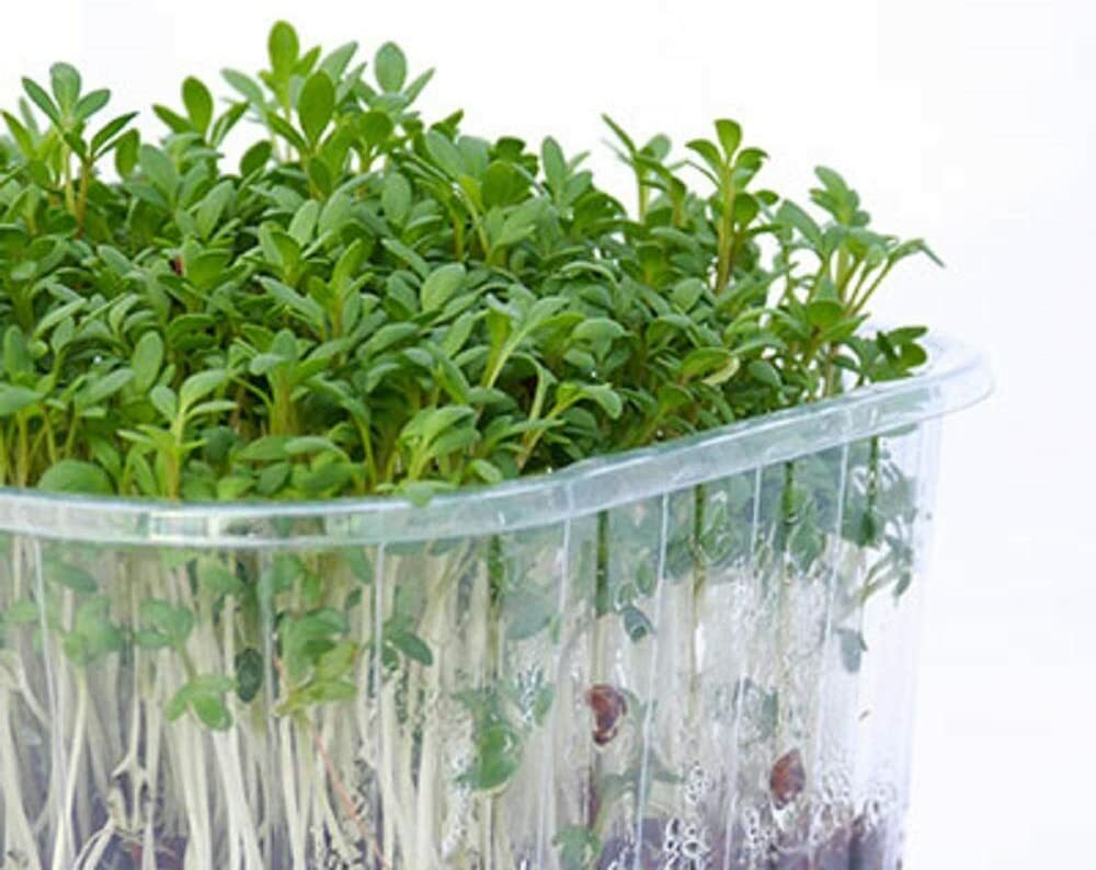 4 oz Cress