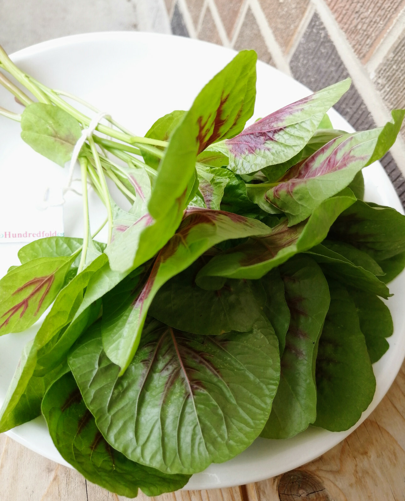 Red and Green Amaranth 1000 Vegetable Seeds Amaranthus Tricolor Non-GMO Calaloo