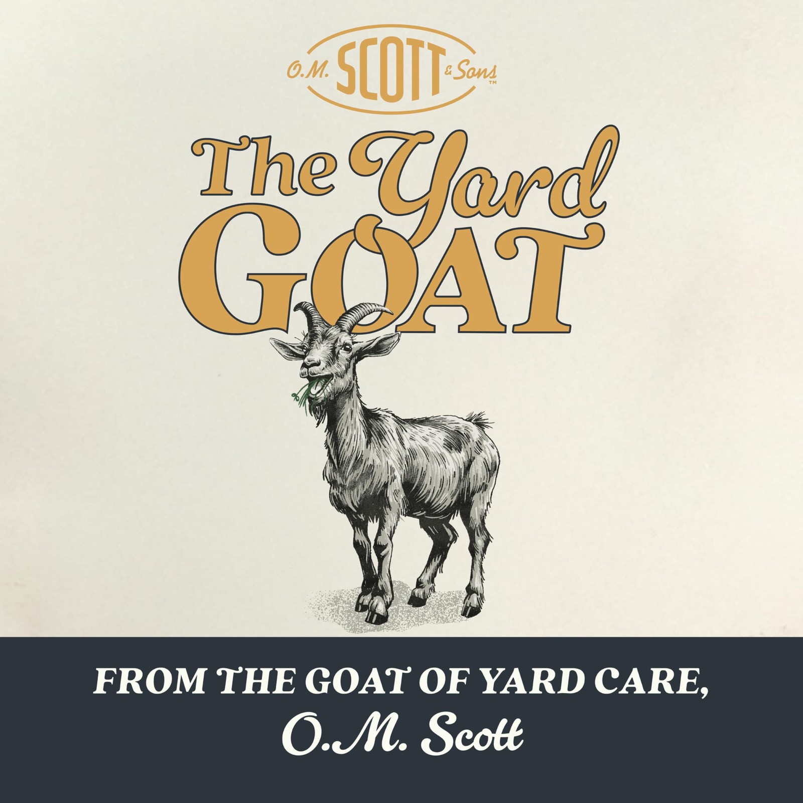 Scotts O.M. Scott And Sons Bermudagrass Grass Seed Fertilizer And Soil Improver