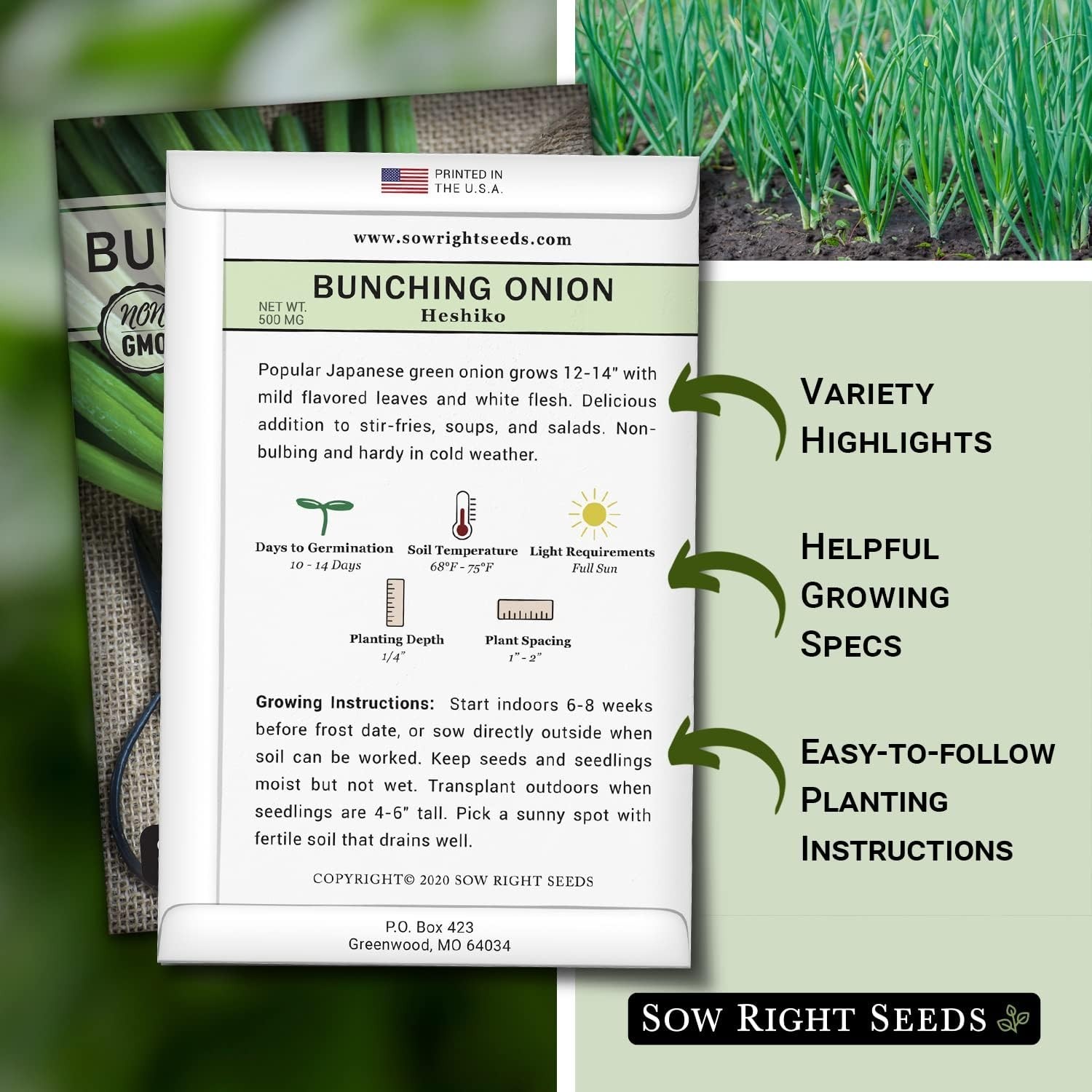 Grow Delicious Heshiko Bunching Green Onions – Mild Flavor & Heirloom Quality