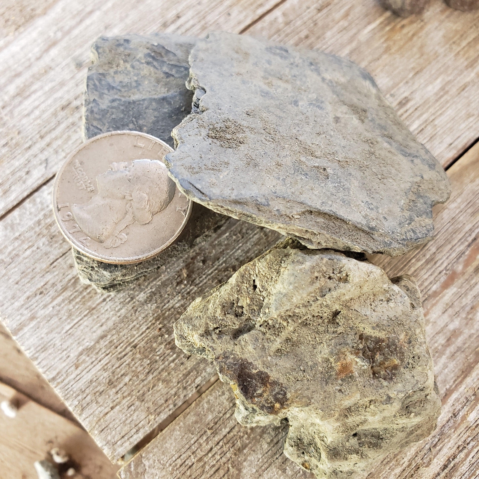 1 Lb Mini Slab River Rock Cactus and Succulent Top Soil Dressing cactus Cacti Su