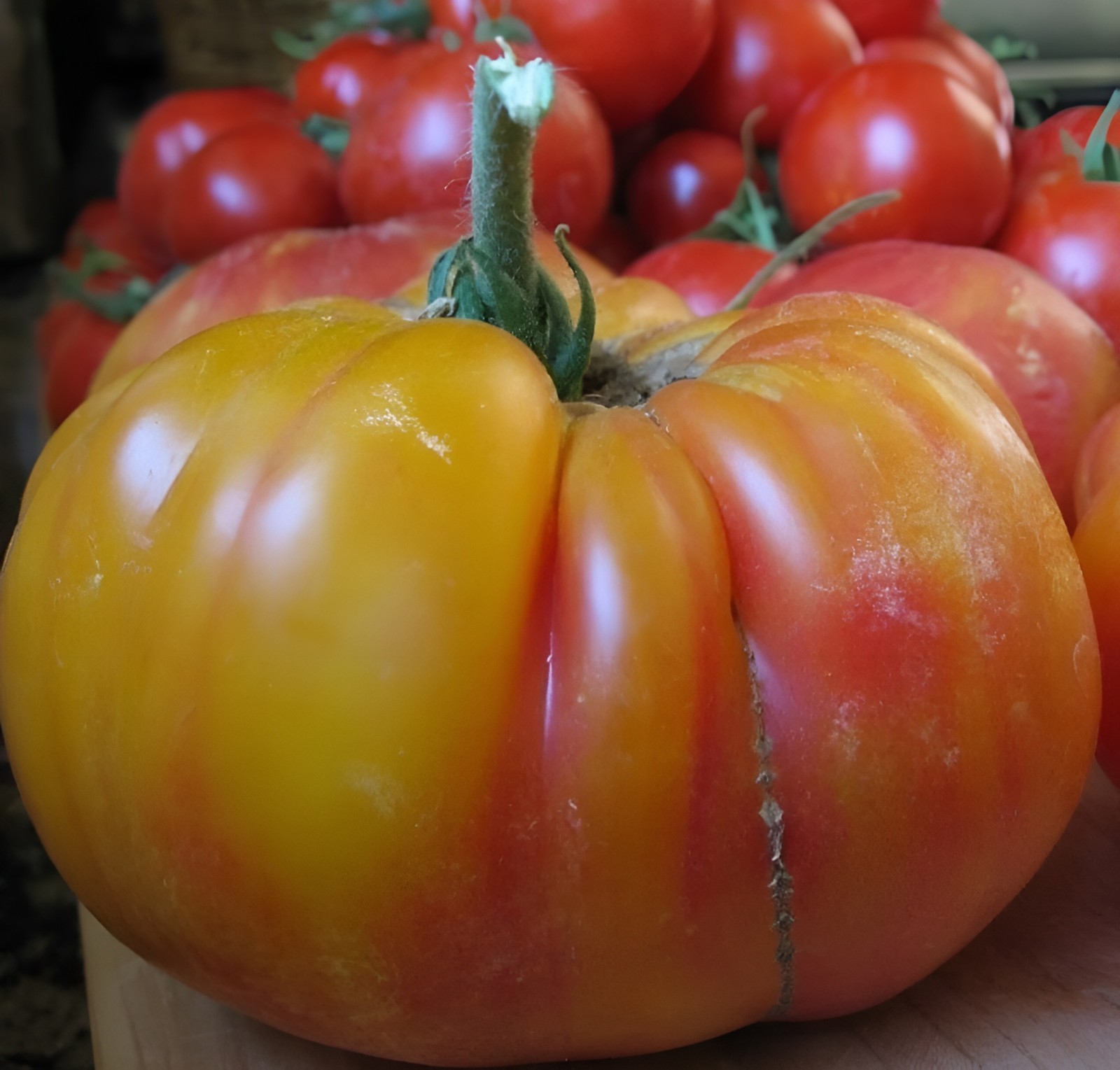 100 Heirloom Pineapple Tomato Seeds Huge 1-2lb Bi-Colored Sweet Indeterminate