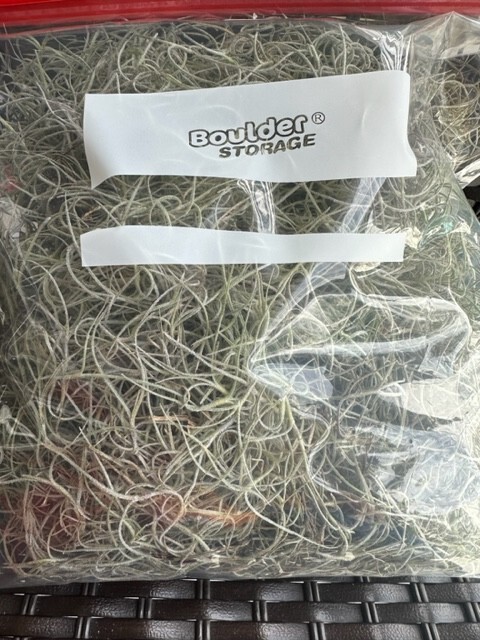 Fresh Live Spanish Moss Florida 1 Gallon Air Plant Crafts Decor Accent Tropical