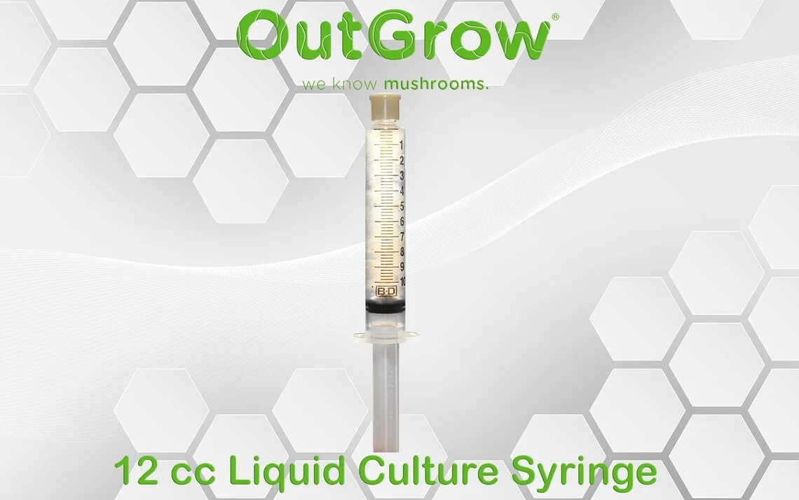 HK-35 Commercial Oyster Mushroom (Pleurotus ostreatus) Liquid Culture