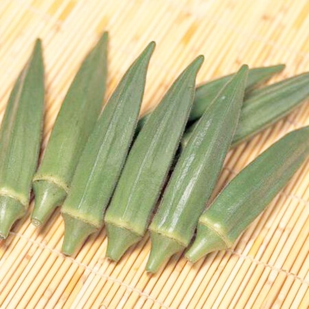 Okra Seeds 25 Jambalaya, (F1) | Extra Early maturing | Abelmoschus esculentus