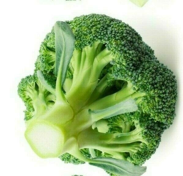 1200+ BROCCOLI WALTHAM SEEDS HEIRLOOM VEGETABLE GARDEN NON-GMO MICROGREENS USA