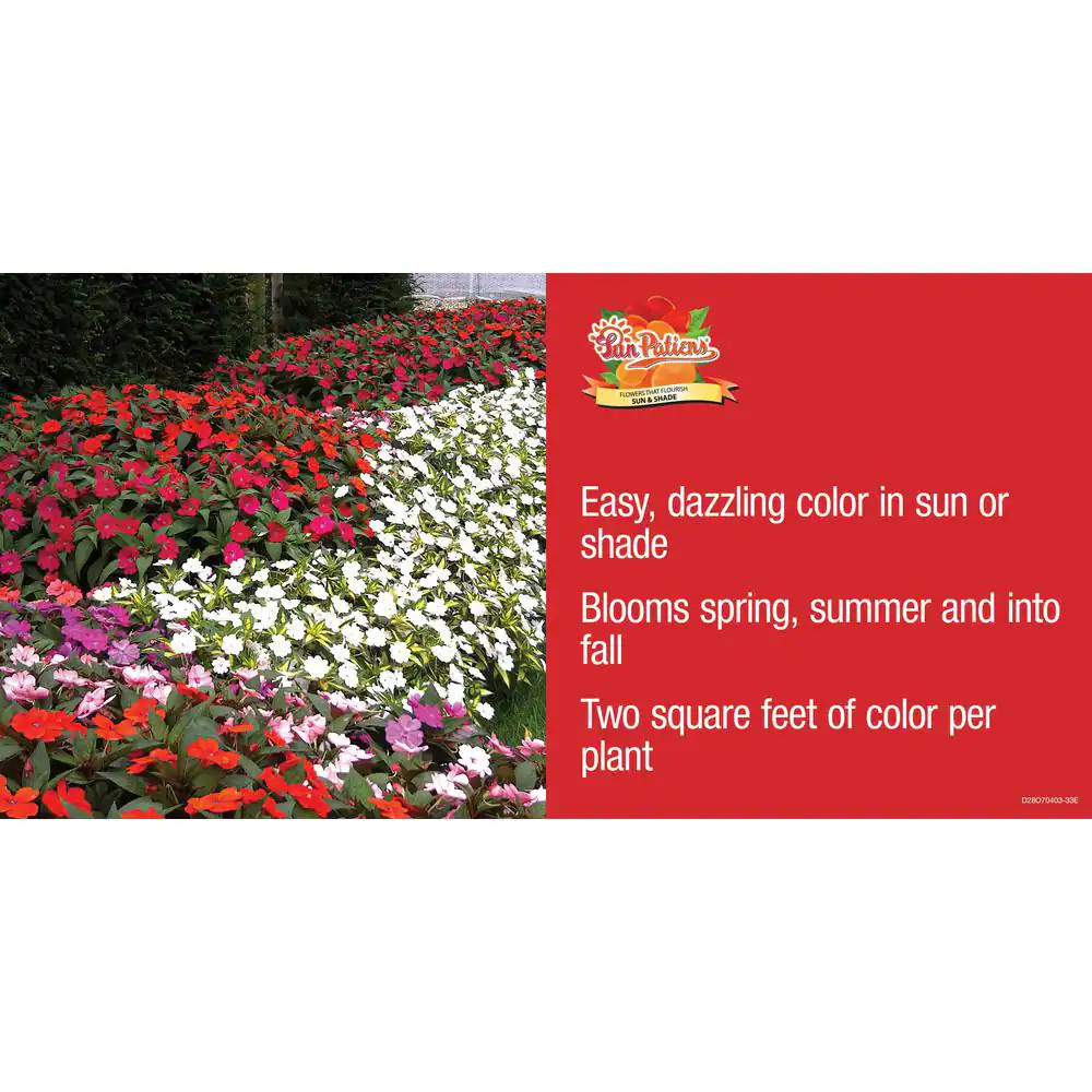 2.5 In. Vigorous Lavender Splash Sunpatiens Impatiens Outdoor Annual Plant with