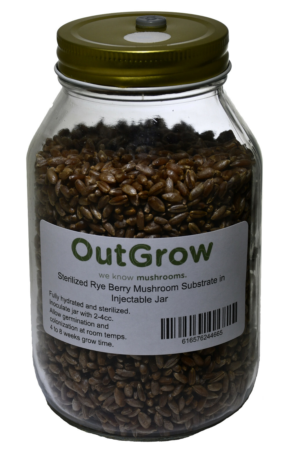 Sterilized Rye Grains for Mushroom Cultivation – Quart Jar with Injection Port