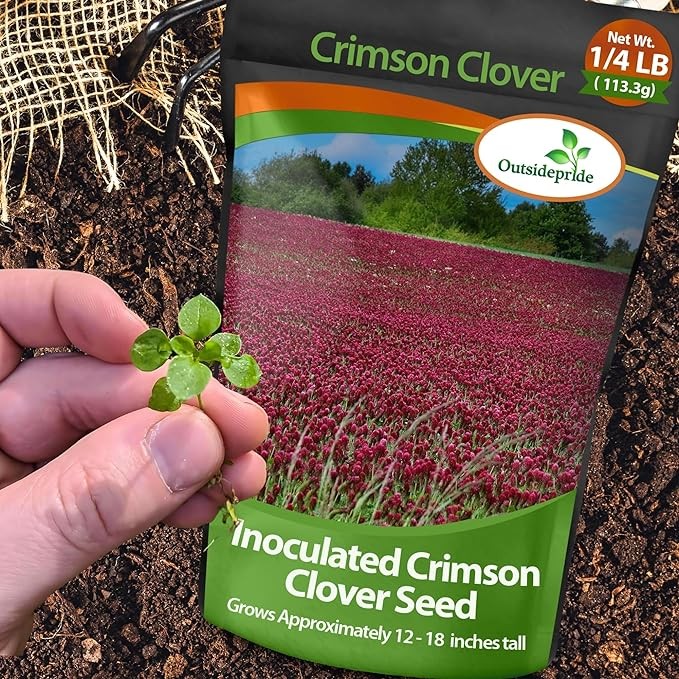 5 LBS – Inoculated Bulk Crimson Clover Seed For Planting Pastures, Cover