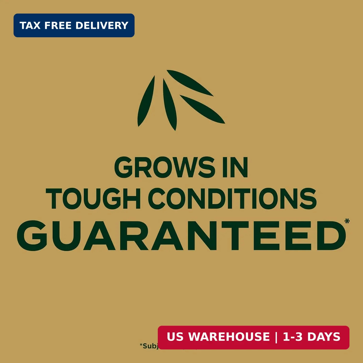 Scotts EZ Seed Patch and Repair Zoysia Grass – Combination Mulch, Lawn Grass See