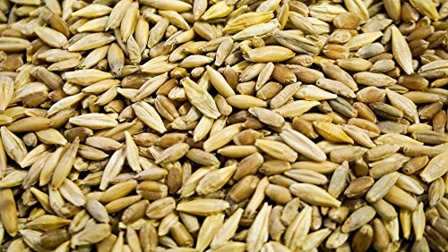 Thunder Acres Cat Grass Blend – Wheat, Barley, Oats, And Rye Seed Mix