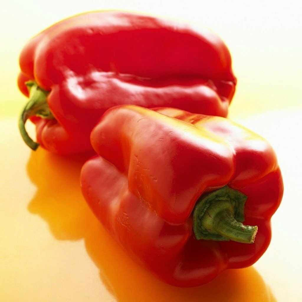 YOLO WONDER SWEET bell pepper seeds NON-GMO improved heirloom variety BIG TASTEE
