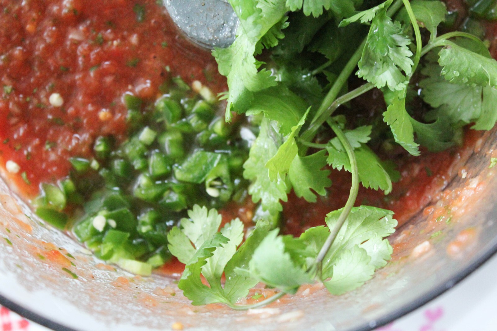 Coriander CILANTRO 100-500 Seeds Microgreens Heirloom Chinese Parsley Salad Herb