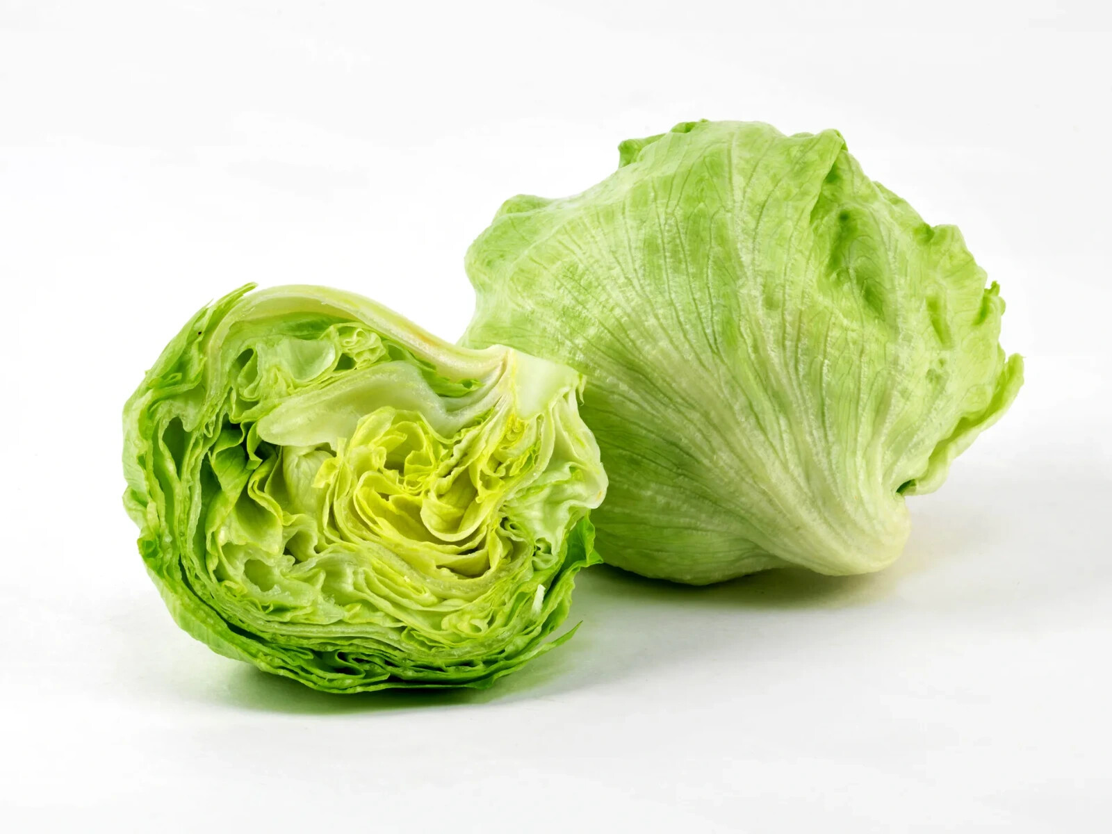 1000 ICEBERG LETTUCE SEEDS ~ heirloomseedguy ~ 2026 ~ NON-GMO
