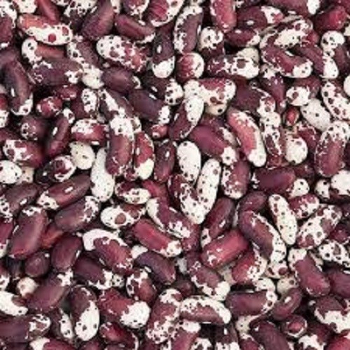 Premium Jacob’s Cattle Beans. Heirloom. Dry Beans. Non-GMO. Great for soups!