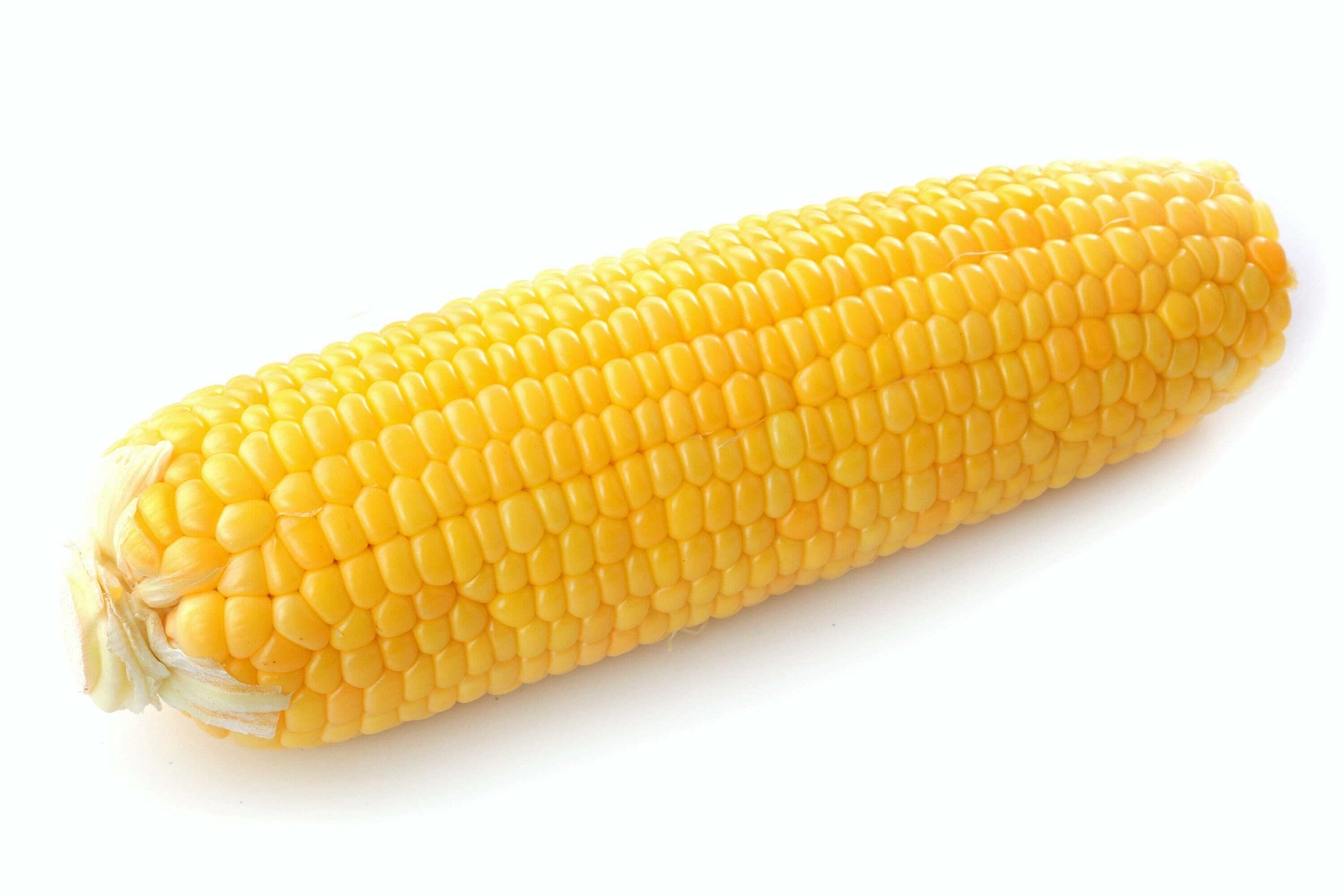 50 KANDY KORN CORN Sweet Yellow Corn Red Husk H.S.E. Zea Mays Vegetable Seeds