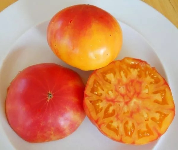 120+ Pineapple Tomato Seeds ——– Heirloom – Organic – NON GMO ——— RARE