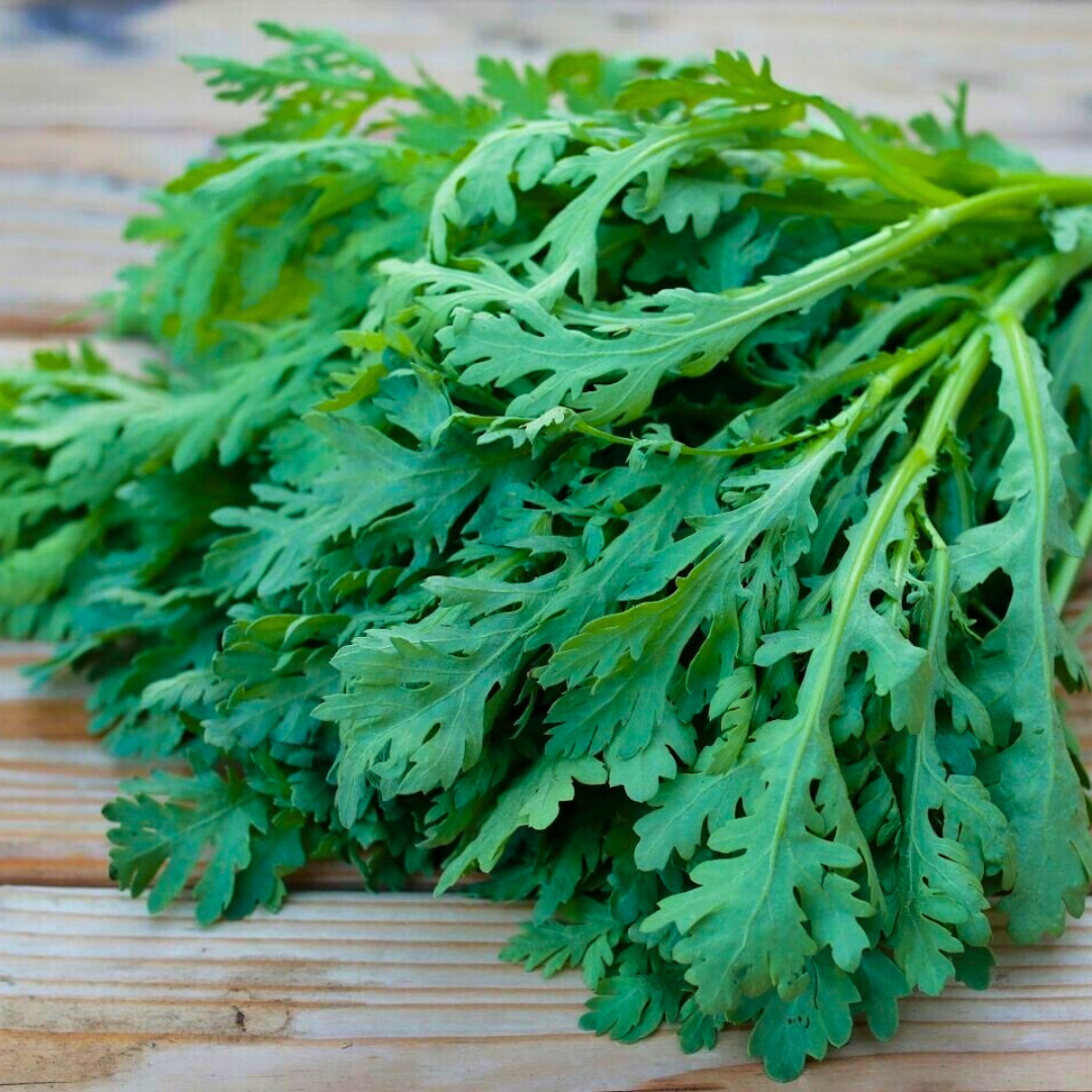 Fresh Chrysanthemum Greens Seeds | Tong Hao | Heirloom Non-GMO | Asian Vegetable