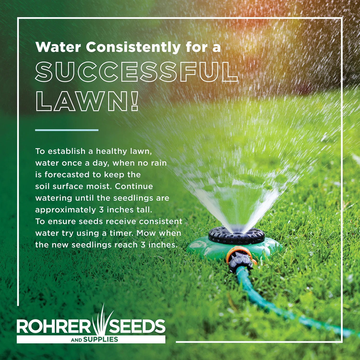 Rohrer Seeds Shade and Sun Grass Seed