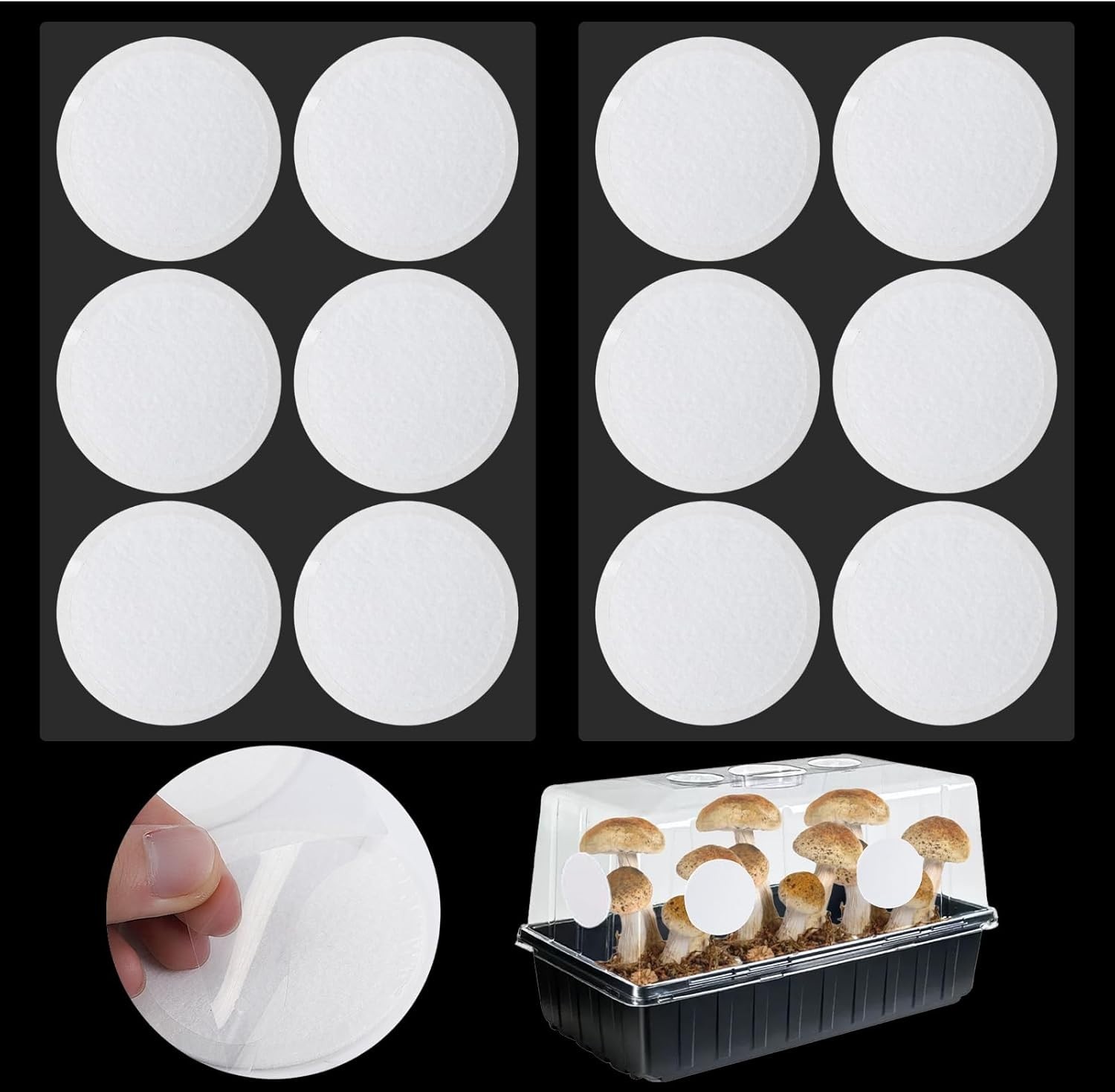 12PCS 2.5in Monotub Filter Disks – Optimal Adhesive Solution for Mushroom Growth