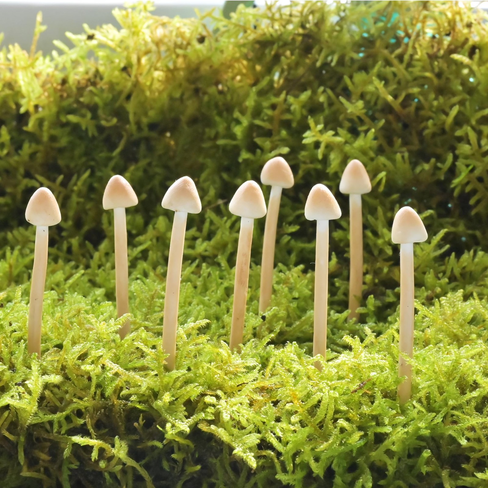8 Pack Light Brown Handmade Clay Mushrooms Mini Fairy Garden Decor
