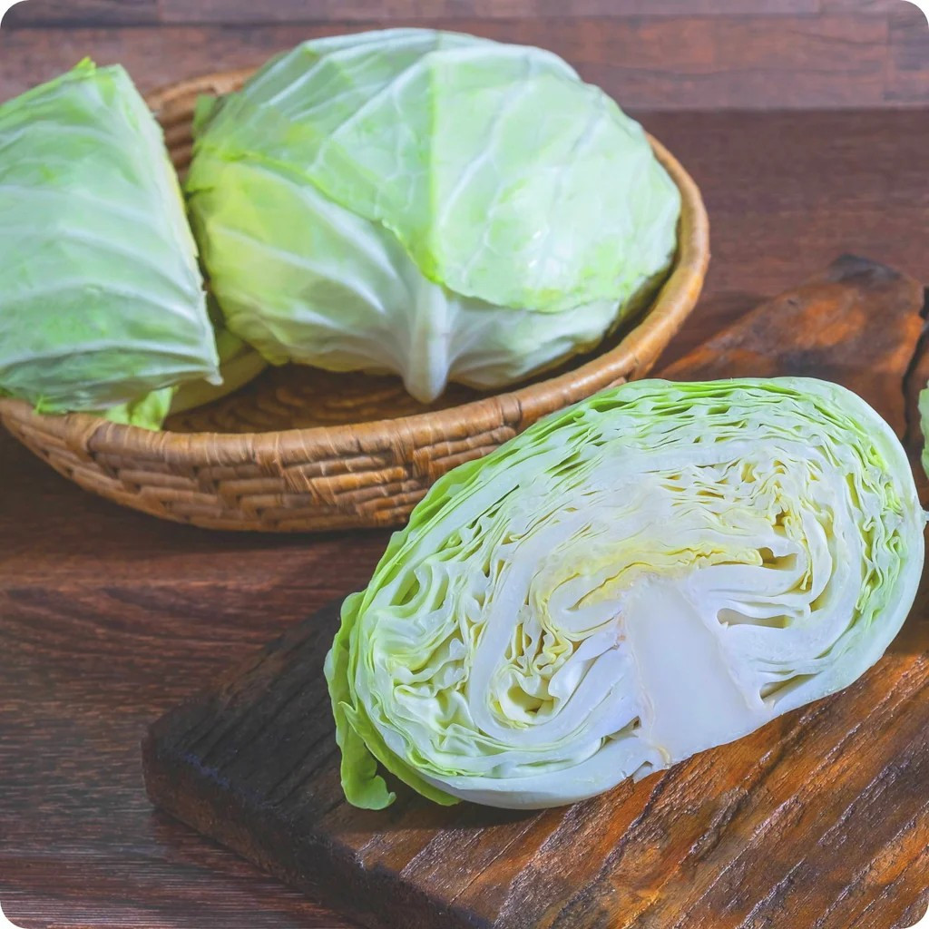 1000+ Late Flat Dutch Cabbage Seeds — Heirloom — NON GMO — FRESH