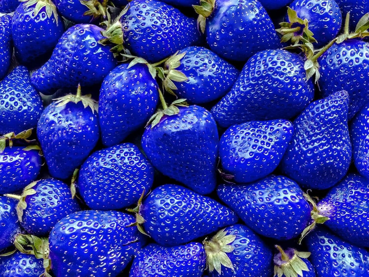 400+ Heirloom Non-GMO Mixed Strawberry Seeds – Sweet Red, Blue, White & Yellow