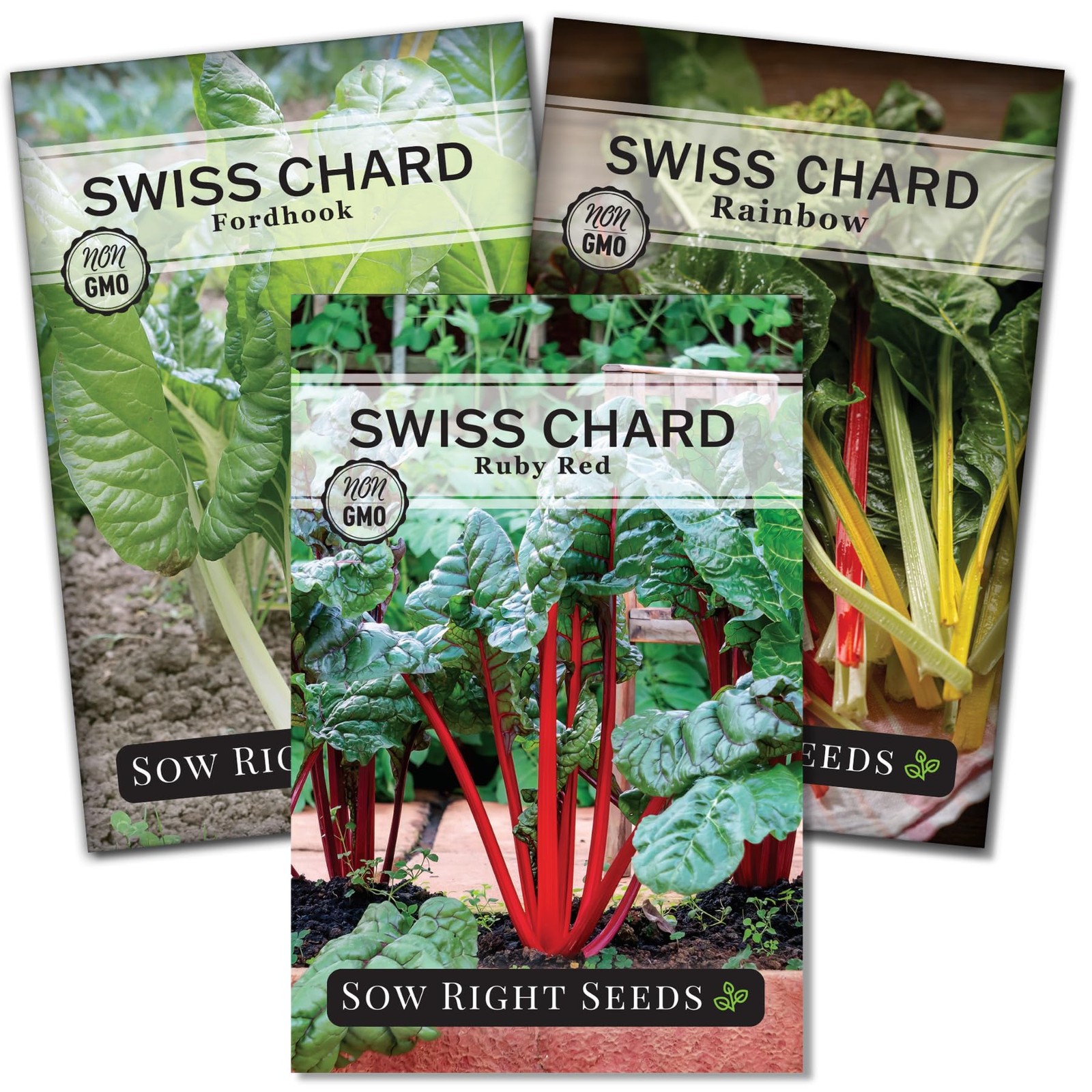 Swiss Chard Seed Collection for Planting Includes Rainbow, Fordhook, Ruby R…