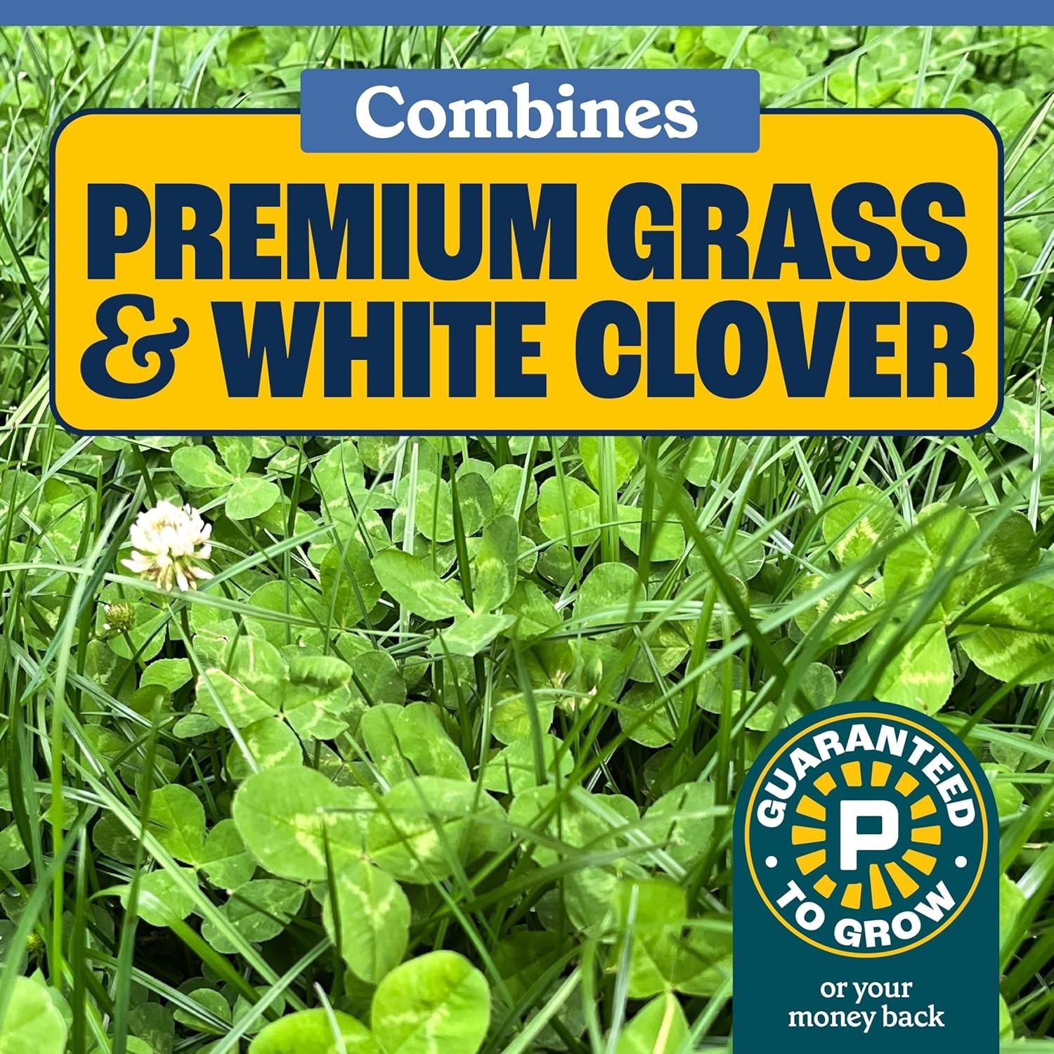 Clover & Grass Mix 7 Pounds Self-Fertilizing Pollinator-Friendly Lawn Seed