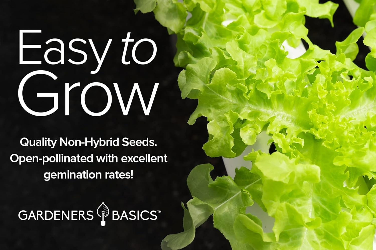 5 Variety Hydroponic Seed Pack: GMO-Free Indoor/Outdoor Greens for Family Gar…